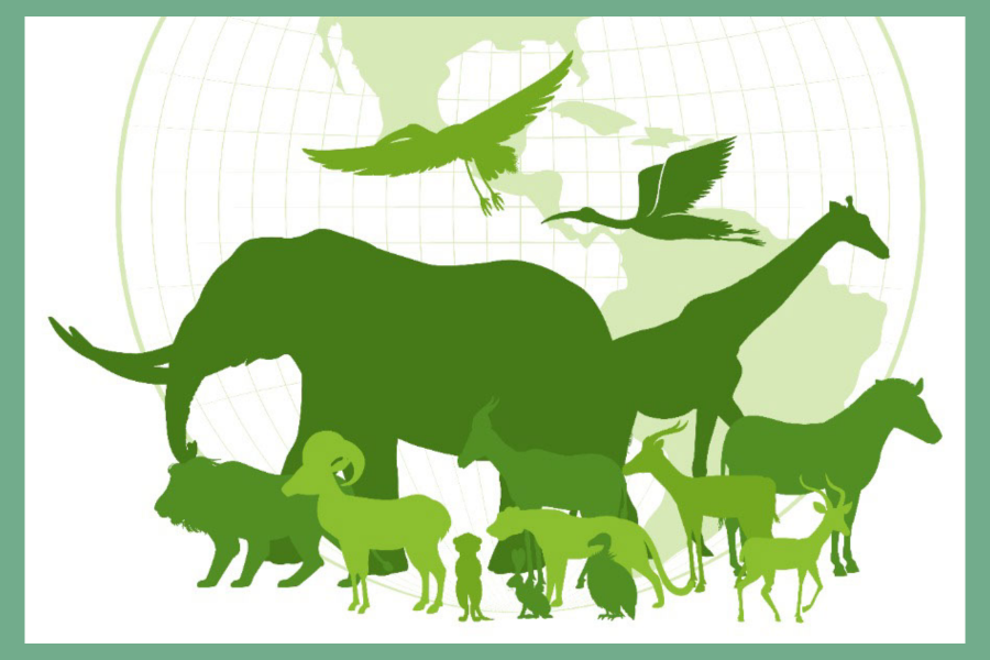 1684776850386_My project-1 (23).png